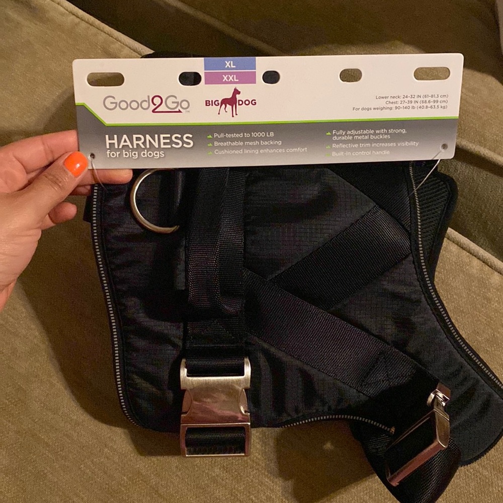 Harness for dog